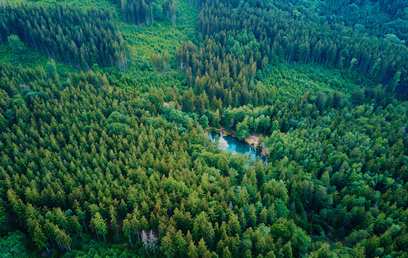 Zhejiang Yisen Bag Co,. Ltd.